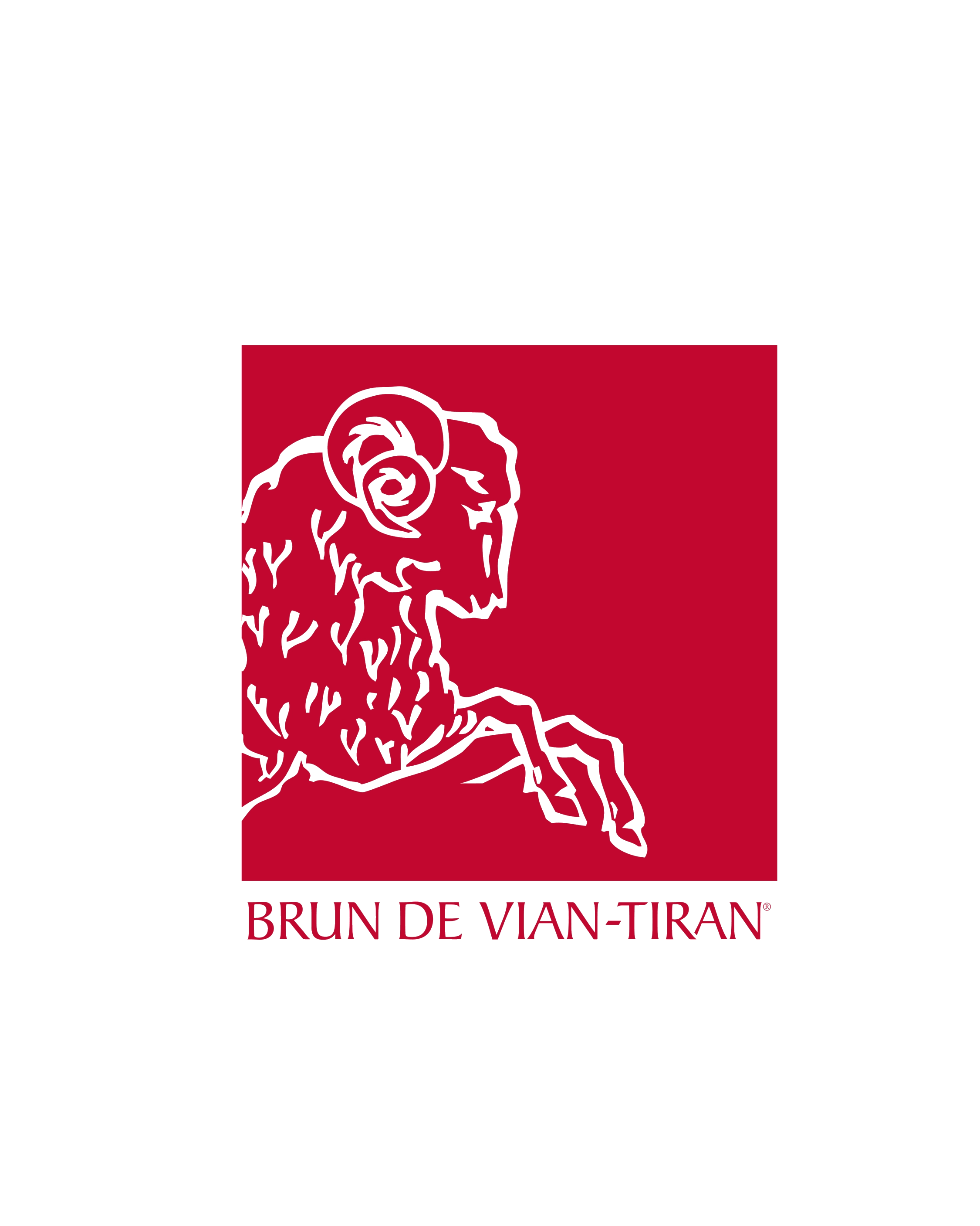 Brun de Vian-Tiran